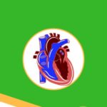 Holistic Info about General Cardiovascular Conditions