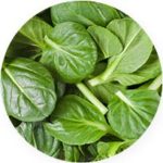 Leafy Green Vegetables